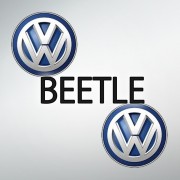 Beetle